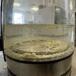 Amenințarea ascunsă în ceainicul de la birou și modul meu rapid de a scăpa de ea pentru totdeauna amenintarea-ascunsa-in-ceainicul-de-la-birou-si-modul-meu.png