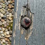 Pete întunecate pe unghii după traume și metode populare populare de salvare pete-intunecate-pe-unghii-dupa-traume-si-metode-populare-populare.webp.webp